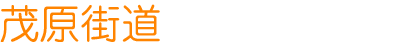 茂原街道ひまわり整骨院